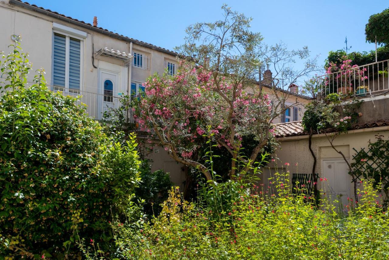 Apartmán Le Pandora, Proche Tour Magne, Parking Et Terrasse Nîmes Exteriér fotografie